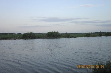 Закоряженный пруд. Фото 5136.
