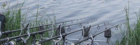 Закоряженный пруд. Фото 5137.