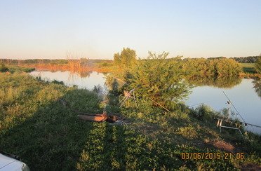 Закоряженный пруд. Фото 5138.