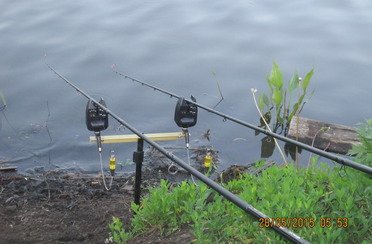 Закоряженный пруд. Фото 5139.