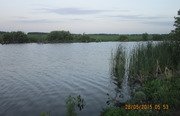 Закоряженный пруд. Фото 5140.