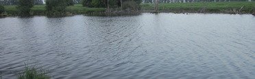 Закоряженный пруд. Фото 5141.