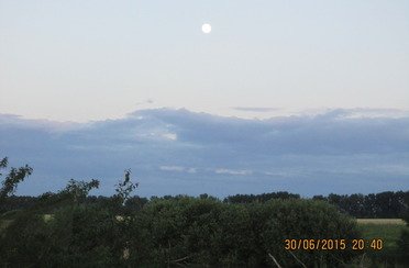 Закоряженный пруд. Фото 5146.