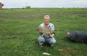 Закоряженный пруд. Фото 5147.