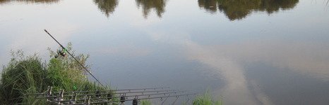 Закоряженный пруд. Фото 5152.