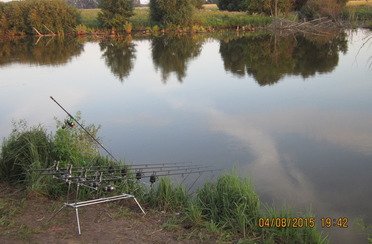 Закоряженный пруд. Фото 5152.