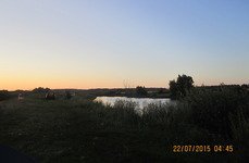 Закоряженный пруд. Фото 5153.