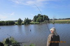 Закоряженный пруд. Фото 5154.