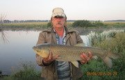 Закоряженный пруд. Фото 5155.