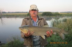 Закоряженный пруд. Фото 5155.