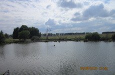 Закоряженный пруд. Фото 5158.