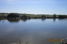 Закоряженный пруд. Фото 5161.