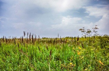 Серебряный ключ. Фото 5166.