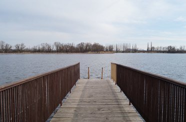 Серебряный ключ. Фото 5185.