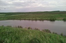 Буденновский карпятник. Фото 5188.