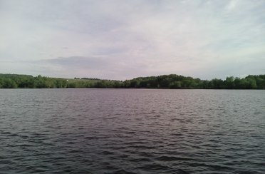 Буденновский карпятник. Фото 5191.