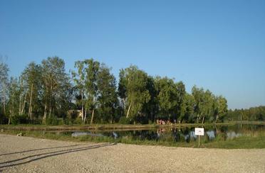 Аквамарин. Фото 5200.