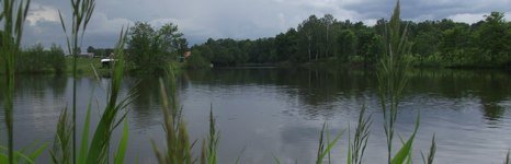 Королевка. Фото 5206.