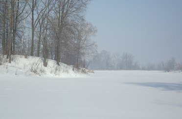 Королевка. Фото 5208.