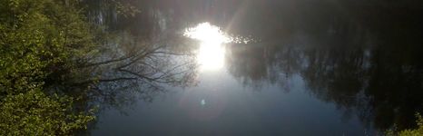 Королевка. Фото 5211.