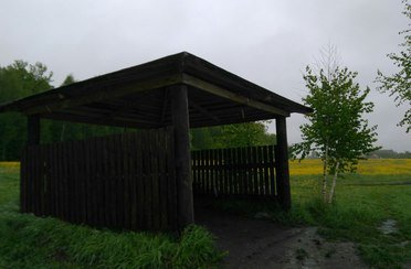 Королевка. Фото 5212.