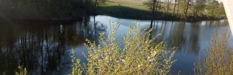 Королевка. Фото 5218.