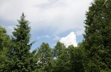 Колкуново. Фото 5272.