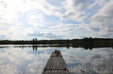 Алешкины пруды. Фото 5338.