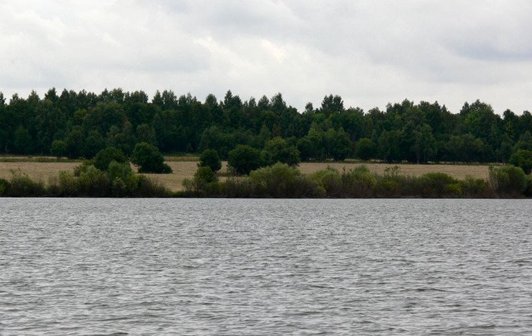 Атрепьево. Фото 5354.
