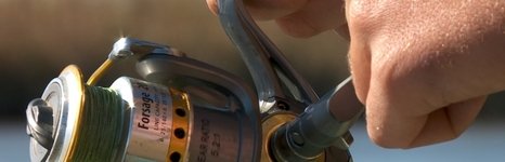 Прокоста. Фото 539.