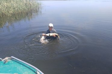 Прокоста. Фото 542.