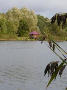 Чистые Родники. Фото 5463.