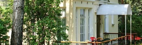 Снегири. Фото 5471.