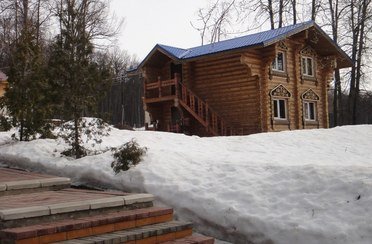 Снегири. Фото 5479.