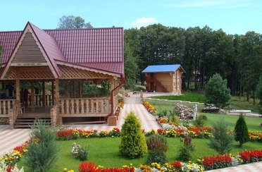 Снегири. Фото 5480.