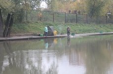 Левобережный. Фото 5498.