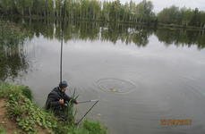 Клинский. Форелевый пруд. Фото 5502.