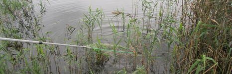 Клинский. Участок Новоселки. Фото 5512.