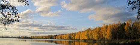Клинский. Участок Новоселки. Фото 5515.