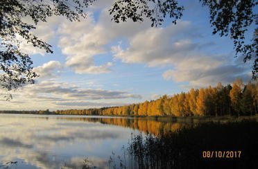 Клинский. Участок Новоселки. Фото 5515.