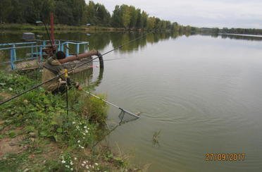 Клинский. Участок Дятлово. Фото 5521.