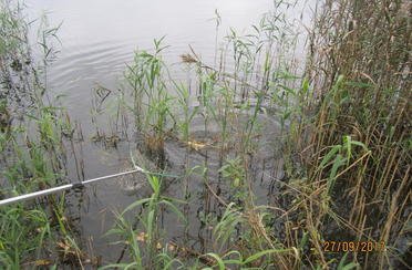 Клинский. Участок Владимировка. Фото 5527.