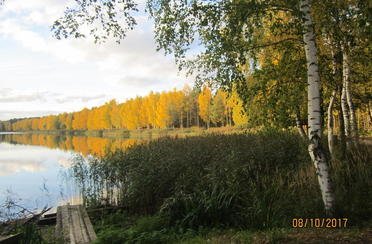 Клинский. Участок Владимировка. Фото 5530.