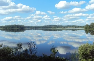 Бросно. Фото 5608.