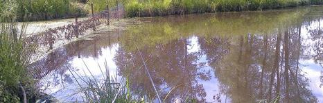 Бухловка. Фото 5655.