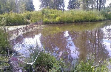 Бухловка. Фото 5655.