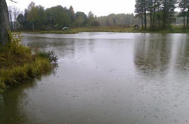 Бухловка. Фото 5658.