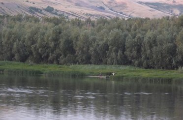 Турбаза Три Сосны. Фото 5671.