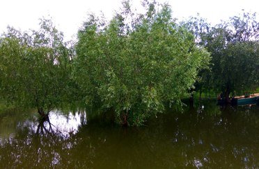 Волга-Каспий 2001. Фото 5714.