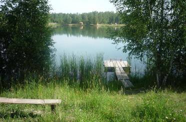 Всеволодово. Фото 5735.